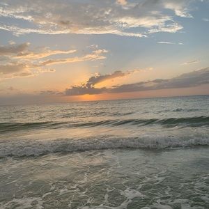 Meet your Posher, Lily